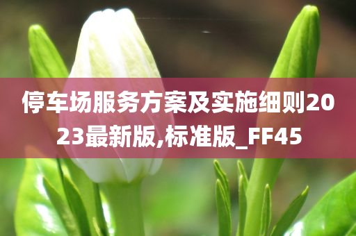 停车场服务方案及实施细则2023最新版,标准版_FF45