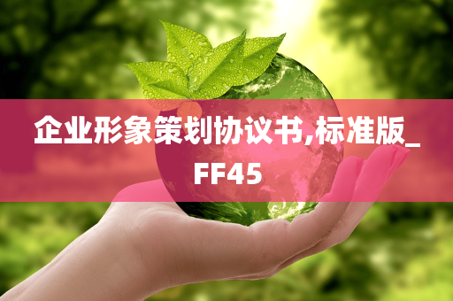 企业形象策划协议书,标准版_FF45