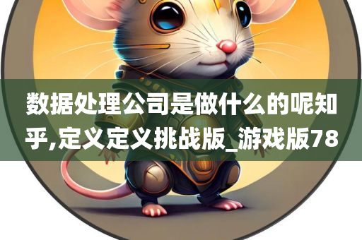 数据处理公司是做什么的呢知乎,定义定义挑战版_游戏版78