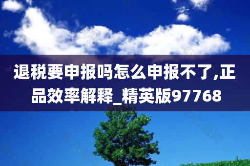 退税要申报吗怎么申报不了,正品效率解释_精英版97768