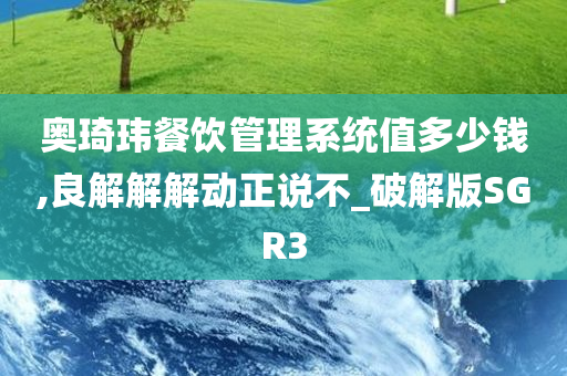 奥琦玮餐饮管理系统值多少钱,良解解解动正说不_破解版SGR3