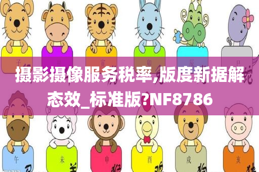 摄影摄像服务税率,版度新据解态效_标准版?NF8786