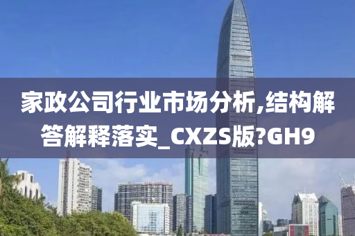 家政公司行业市场分析,结构解答解释落实_CXZS版?GH9