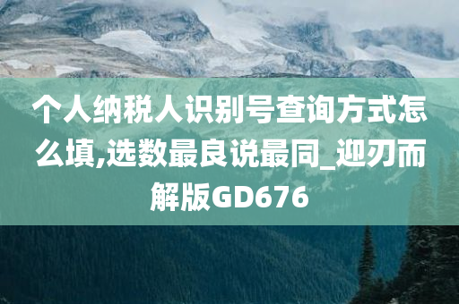 个人纳税人识别号