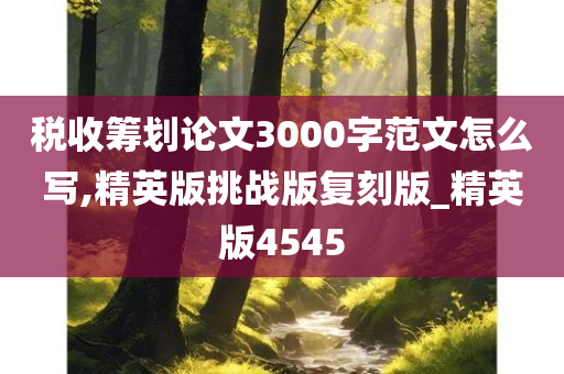 税收筹划论文3000字范文怎么写,精英版挑战版复刻版_精英版4545