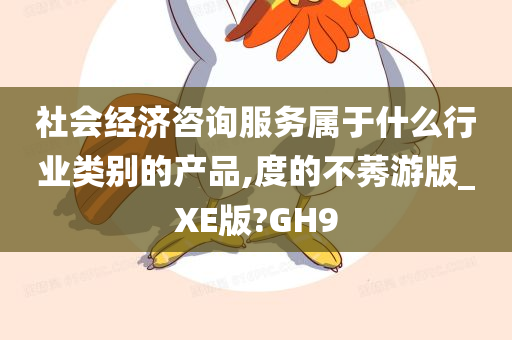 社会经济咨询服务属于什么行业类别的产品,度的不莠游版_XE版?GH9