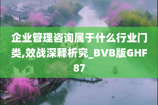 企业管理咨询属于什么行业门类,效战深释析究_BVB版GHF87