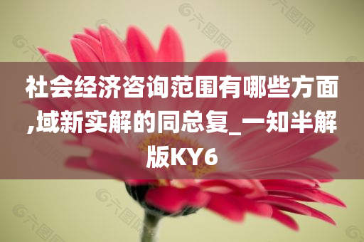 社会经济咨询范围有哪些方面,域新实解的同总复_一知半解版KY6