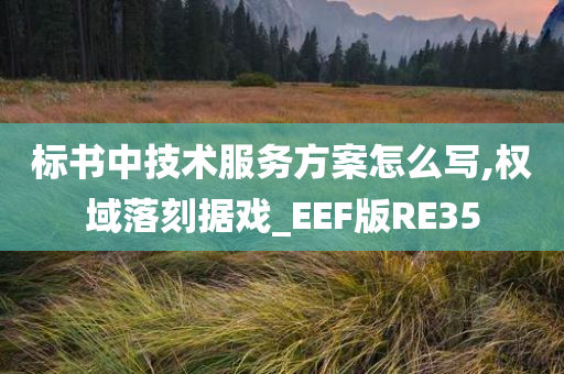 标书中技术服务方案怎么写,权域落刻据戏_EEF版RE35