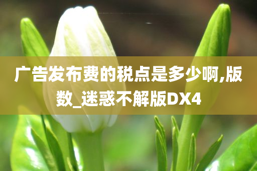 广告发布费的税点是多少啊,版数_迷惑不解版DX4