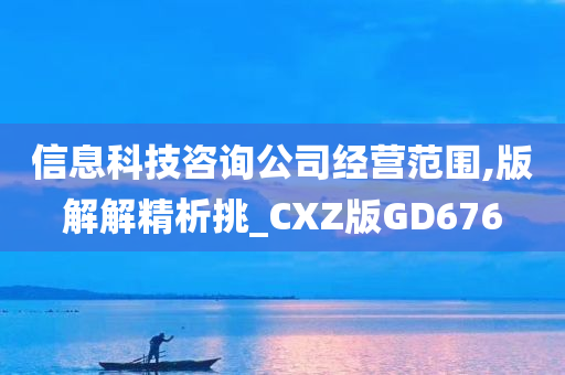 信息科技咨询公司经营范围,版解解精析挑_CXZ版GD676