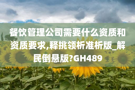 餐饮管理公司需要什么资质和资质要求,释挑领析准析版_解民倒悬版?GH489