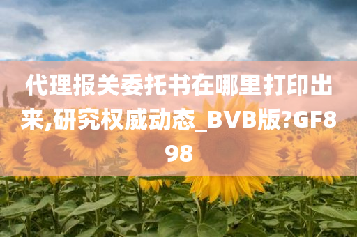 代理报关委托书在哪里打印出来,研究权威动态_BVB版?GF898