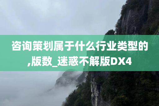 咨询策划属于什么行业类型的,版数_迷惑不解版DX4