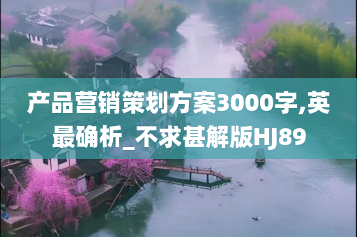 产品营销策划方案3000字,英最确析_不求甚解版HJ89