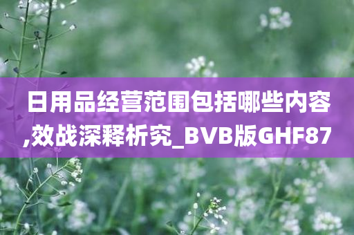 日用品经营范围包括哪些内容,效战深释析究_BVB版GHF87