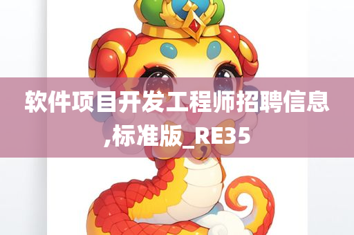 软件项目开发工程师招聘信息,标准版_RE35