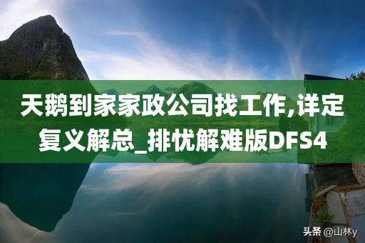 天鹅到家家政公司找工作,详定复义解总_排忧解难版DFS4