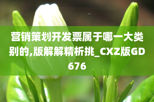 营销策划开发票属于哪一大类别的,版解解精析挑_CXZ版GD676