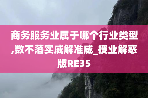 商务服务业属于哪个行业类型,数不落实威解准威_授业解惑版RE35