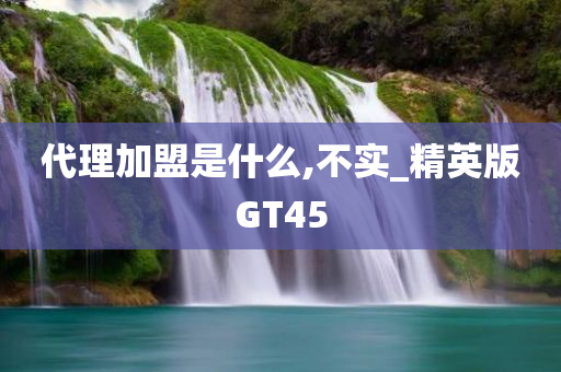 代理加盟是什么,不实_精英版GT45