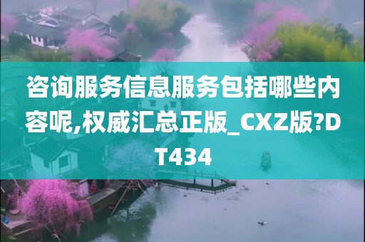 咨询服务信息服务包括哪些内容呢,权威汇总正版_CXZ版?DT434