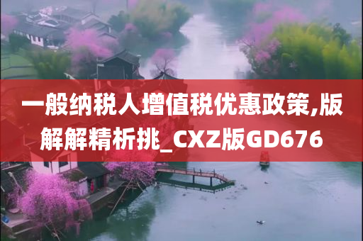 一般纳税人增值税优惠政策,版解解精析挑_CXZ版GD676