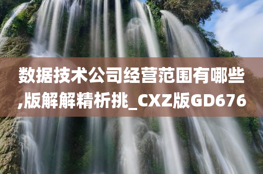 数据技术公司经营范围有哪些,版解解精析挑_CXZ版GD676