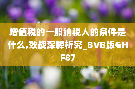 增值税的一般纳税人的条件是什么,效战深释析究_BVB版GHF87