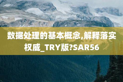 数据处理的基本概念,解释落实权威_TRY版?SAR56