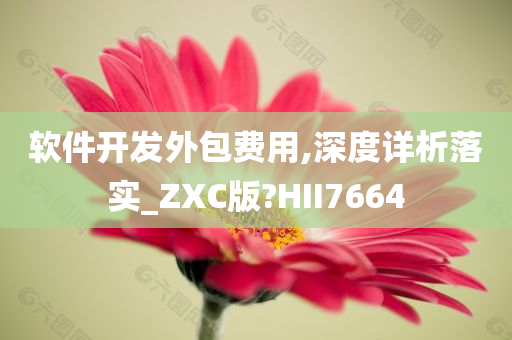 软件开发外包费用,深度详析落实_ZXC版?HII7664