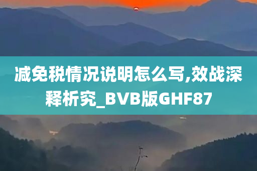 减免税情况说明怎么写,效战深释析究_BVB版GHF87