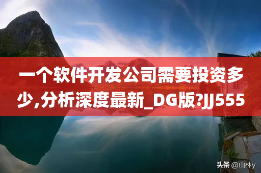 一个软件开发公司需要投资多少,分析深度最新_DG版?JJ555