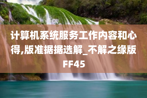 计算机系统服务工作内容和心得,版准据据选解_不解之缘版FF45