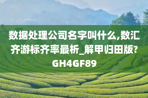 数据处理公司名字叫什么,数汇齐游标齐率最析_解甲归田版?GH4GF89