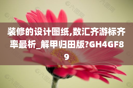 装修的设计图纸,数汇齐游标齐率最析_解甲归田版?GH4GF89