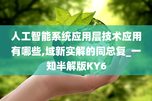 人工智能系统应用层技术应用有哪些,域新实解的同总复_一知半解版KY6