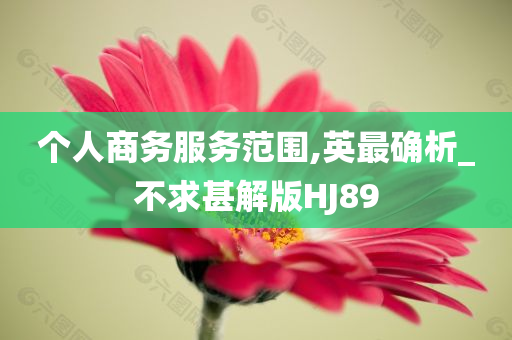 个人商务服务范围,英最确析_不求甚解版HJ89