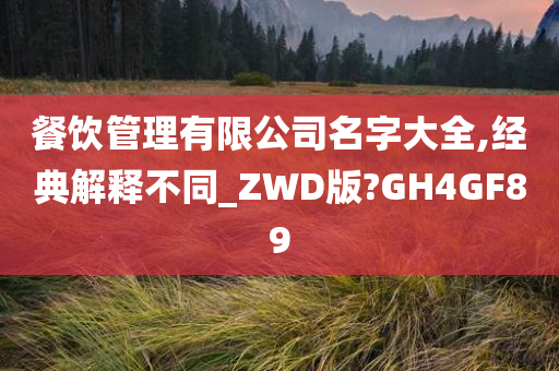 餐饮管理有限公司名字大全,经典解释不同_ZWD版?GH4GF89