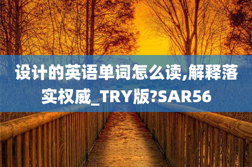 设计的英语单词怎么读,解释落实权威_TRY版?SAR56