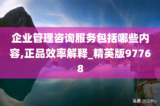 企业管理咨询服务包括哪些内容,正品效率解释_精英版97768