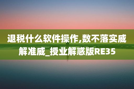 退税什么软件操作,数不落实威解准威_授业解惑版RE35