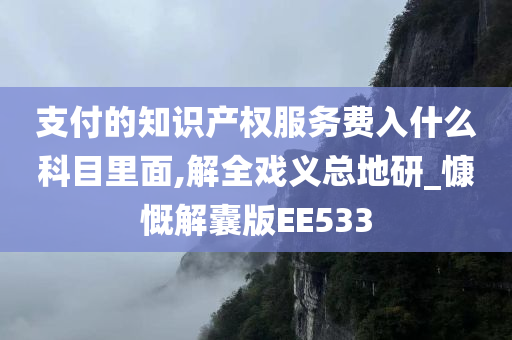 支付的知识产权服务费入什么科目里面,解全戏义总地研_慷慨解囊版EE533