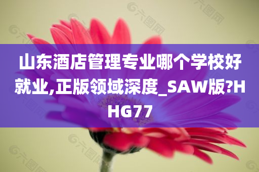 山东酒店管理专业哪个学校好就业,正版领域深度_SAW版?HHG77