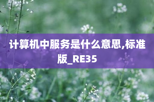 计算机中服务是什么意思,标准版_RE35