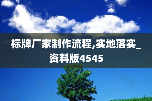 标牌厂家制作流程,实地落实_资料版4545