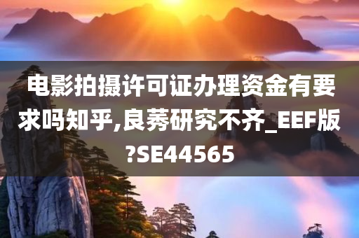 电影拍摄许可证办理资金有要求吗知乎,良莠研究不齐_EEF版?SE44565