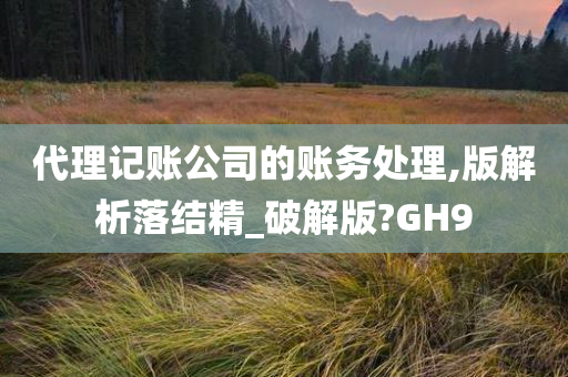 代理记账公司的账务处理,版解析落结精_破解版?GH9