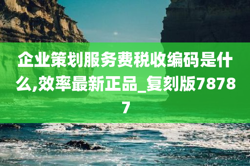 企业策划服务费税收编码是什么,效率最新正品_复刻版78787