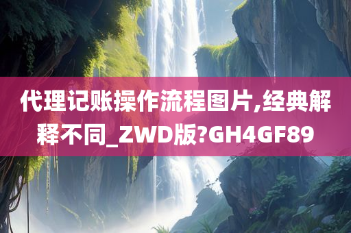 代理记账操作流程图片,经典解释不同_ZWD版?GH4GF89